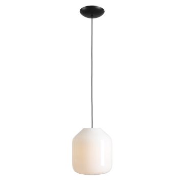 Aldex FLASK ORCHID L 8500G1_L Висяща лампа 1x15W/E27
