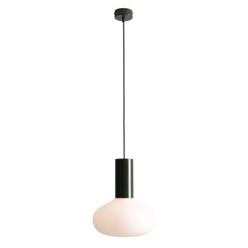 Aldex FLO MOSS M 7000G26_M Висяща лампа 1x10W/E14