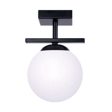 Zuma Line GLOBE 1210 Таванна лампа 1x10W/E14 IP20