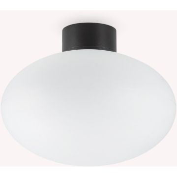 Ideal Lux CLIO 148878 Таванна лампа 1x42W/E27 ip44