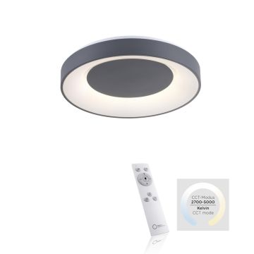 Paul Neuhaus ANIKA 14326-18 Таванен светилник 1x26,5W/LED 5000K 1450LM IP20
