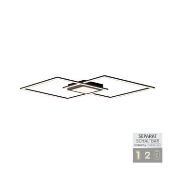 Paul Neuhaus ASMIN 14695-18 Таванен светилник 1x45W/LED 3000K 2980LM IP20