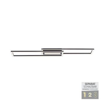 Paul Neuhaus ASMIN 14696-18 Таванен светилник 1x45W/LED 3000K 2900LM IP20