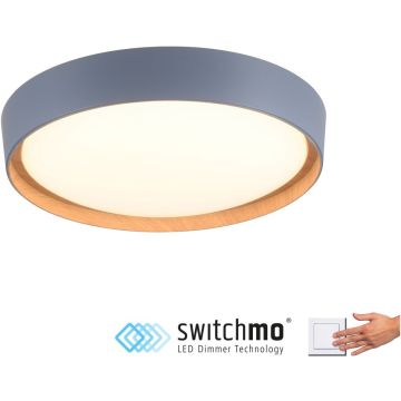 Paul Neuhaus EMILIA 14347-15 Таванна лампа 1x32W/LED 3000k 3400lm ip20