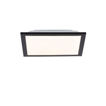 Paul Neuhaus FLAT 14740-18 LED панел 1x6W/LED 3000K 485LM IP20