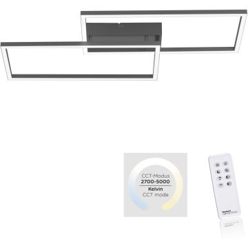 Paul Neuhaus IVEN 14140-18 Таванна лампа 2x30W/LED 2700-5000k 3500lm ip20