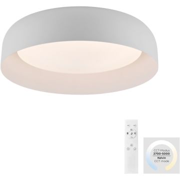 Paul Neuhaus OSKO 14215-16 Таванна лампа 1x30W/LED 2700-5000k 2850lm ip20