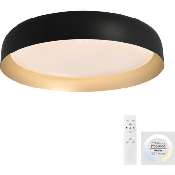 Paul Neuhaus OSKO 14216-18 Таванна лампа 1x40W/LED 2700-5000k 3850lm ip20