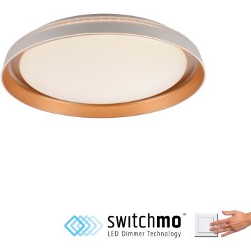 Paul Neuhaus SATI 14368-60 Таванна лампа 1x23,5W/LED 3000k 2630lm ip20