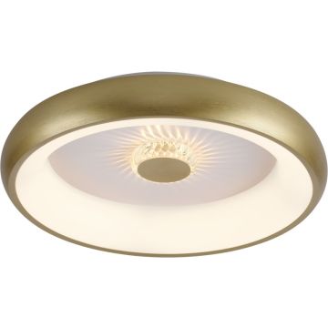 Paul Neuhaus VERTIGO 14384-60 Таванна лампа 1x29W/LED 2700-5000k 1400lm ip20