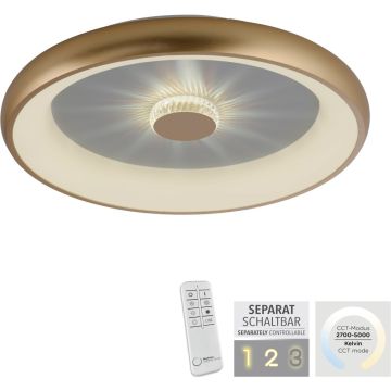 Paul Neuhaus VERTIGO 14386-60 Таванна лампа 1x37W/LED 2700-5000k 1850lm ip20