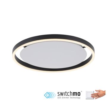 Paul Neuhaus RITUS 15391-13 Таванен светилник 1x20W/LED 3000K 800LM IP20