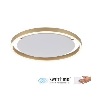 Paul Neuhaus RITUS 15391-60 Таванен светилник 1x20W/LED 3000K 1060LM IP20