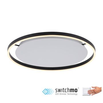 Paul Neuhaus RITUS 15392-13 Таванен светилник 1x28W/LED 3000K 1100LM IP20