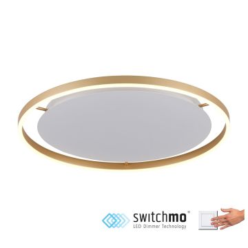 Paul Neuhaus RITUS 15392-60 Таванен светилник 1x28W/LED 3000K 1550LM IP20