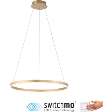 Paul Neuhaus RITUS 15394-60 Висяща лампа 1x31,5W/LED 3000k 3650lm ip20