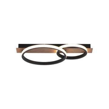 Paul Neuhaus TROOPER 15615-78 Таванен светилник 1x28W/LED 3000K 1000LM IP20