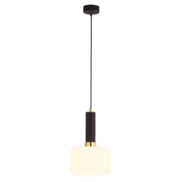 Jupiter VANES 1852 Висяща лампа 1x15W/E27 IP20