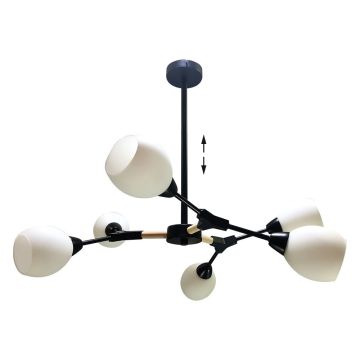 Prezent CITTERIO 18300 Таванна лампа 6x40W/E14 IP20