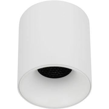 TK Lighting BLAZE 18157 Повърхностно светило 1x12W/LED 3000/4000/6000 K 500lm IP20