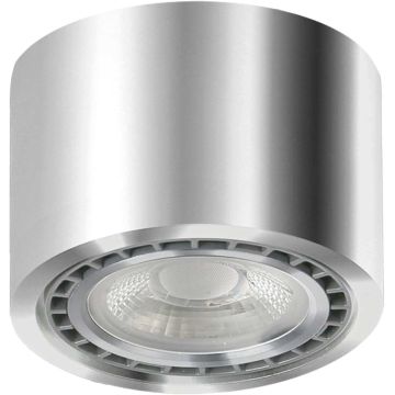 AZzardo ECO ALIX AZ3495 Повърхностно светило 1x35W/GU10/ES111 IP20