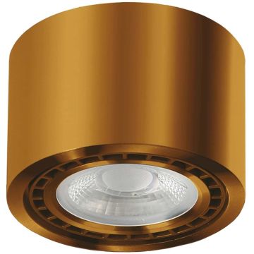 AZzardo ECO ALIX AZ3496 Повърхностно светило 1x35W/GU10/ES111 IP20