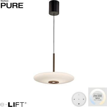 Paul Neuhaus PURE E-Vitrum 2084-34 Висяща лампа 1x26W/LED 2700-5700k 1900lm ip20