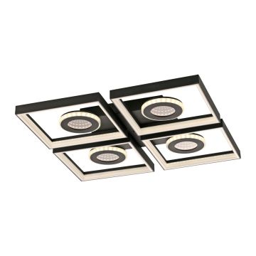 Paul Neuhaus RICICLE 2036-17 Таванен светилник 13x40W/G9 IP20