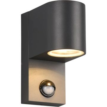 Trio ROYA 214260142 Светильник за стена 1x35w/gu10 ip44