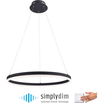 Paul Neuhaus TITUS 2382-13 Висяща лампа 1x44W/LED ip20