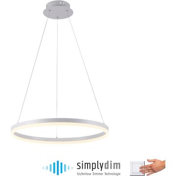 Paul Neuhaus TITUS 2382-16 Висяща лампа 1x44W/LED 3000k 5250lm ip20