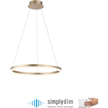 Paul Neuhaus TITUS 2382-60 Висяща лампа 1x44W/LED 3000k 5250lm ip20