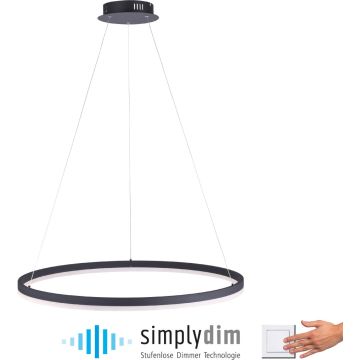 Paul Neuhaus TITUS 2383-13 Висяща лампа 1x61W/LED ip20