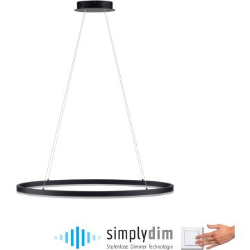 Paul Neuhaus TITUS 2392-13 Висяща лампа 1x38W/LED 3000k 1800lm ip20