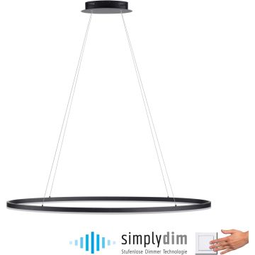 Paul Neuhaus TITUS 2393-13 Висяща лампа 1x57,5W/LED 3000k 2700lm ip20