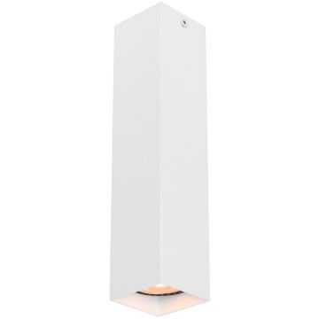 Italux Ander CLN-28394-L-WH Повърхностно светило 1x10W/GU10 IP20