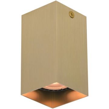 Italux Ander CLN-28394-S-GD Повърхностно светило 1x10W/GU10 IP20