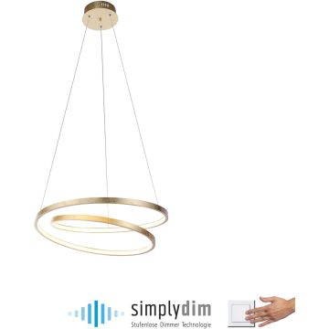 Paul Neuhaus ROMAN 2472-12 Висяща лампа 1x32W/LED 3000k 4000lm ip20