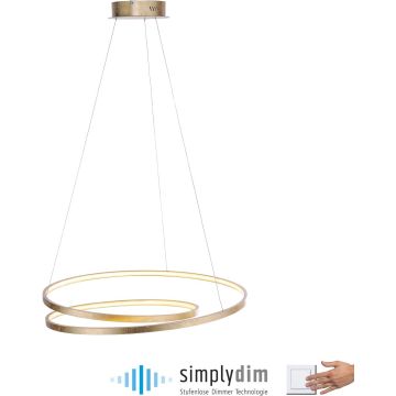 Paul Neuhaus ROMAN 2474-12 Висяща лампа 1x46W/LED 3000k 5100lm ip20
