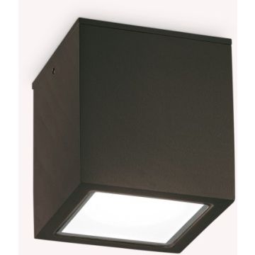 Ideal Lux TECHO 251578 Повърхностно светило 1x20W/GU10 ip54