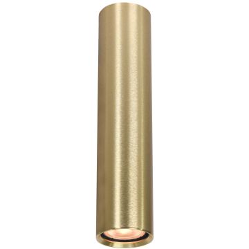 Italux Lopus CLN-48930-L-GD Повърхностно светило 1x10W/GU10 IP20