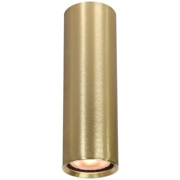 Italux Lopus CLN-48930-M-GD Повърхностно светило 1x10W/GU10 IP20