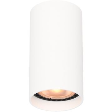 Italux Lopus CLN-48930-S-WH Повърхностно светило 1x10W/GU10 IP20