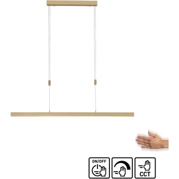 Paul Neuhaus ADRIANA 2568-60 Висяща лампа 3x45W/LED 2700-5000k 4680lm ip20