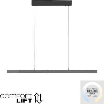 Paul Neuhaus ADRIANA COMFORT LIFT 2598-13 Висяща лампа 1x13W/LED 2700-5000k 2085lm ip20