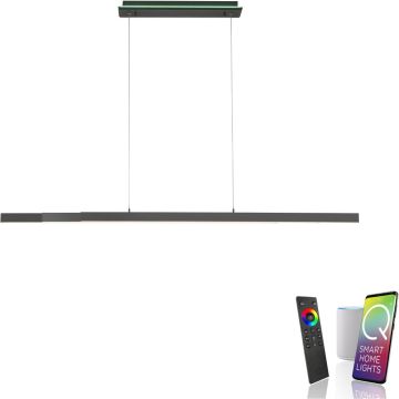 Paul Neuhaus Q-ARIAN 2569-13 Висяща лампа 4x55W/LED 2700-5000k 5520lm ip20