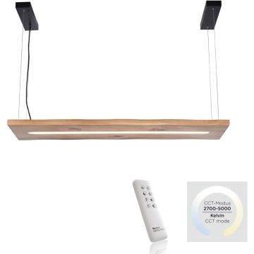 Paul Neuhaus PALMA 2625-79 Висяща лампа 1x27W/LED 2700-5000k 2750lm ip20