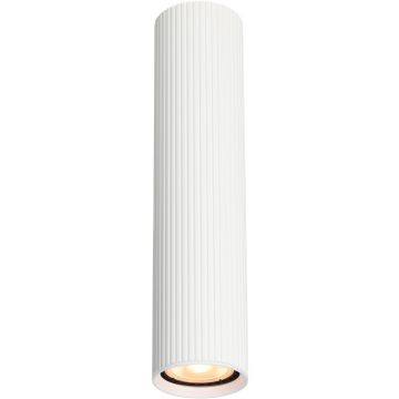 Italux Rilok CLN-83920-L-WH Повърхностно светило 1x10W/GU10 IP20