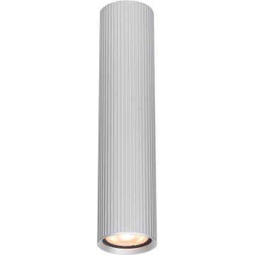 Italux Rilok CLN-83920-L-ALU Повърхностно светило 1x10W/GU10 IP20