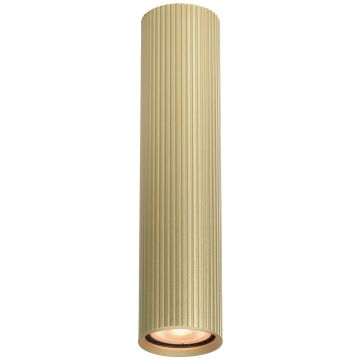 Italux Rilok CLN-83920-L-GD Повърхностно светило 1x10W/GU10 IP20
